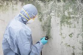 Best Air Quality Testing for Mold Spores  in USA